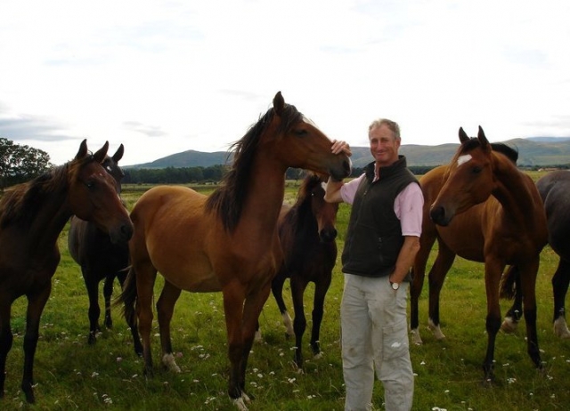 KIMERSTON RIDING CENTER